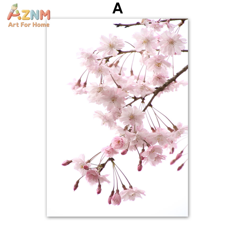 AZNM Pink Cherry Blossom Canva - đánh giá và giá Photography Quotes Inspirational