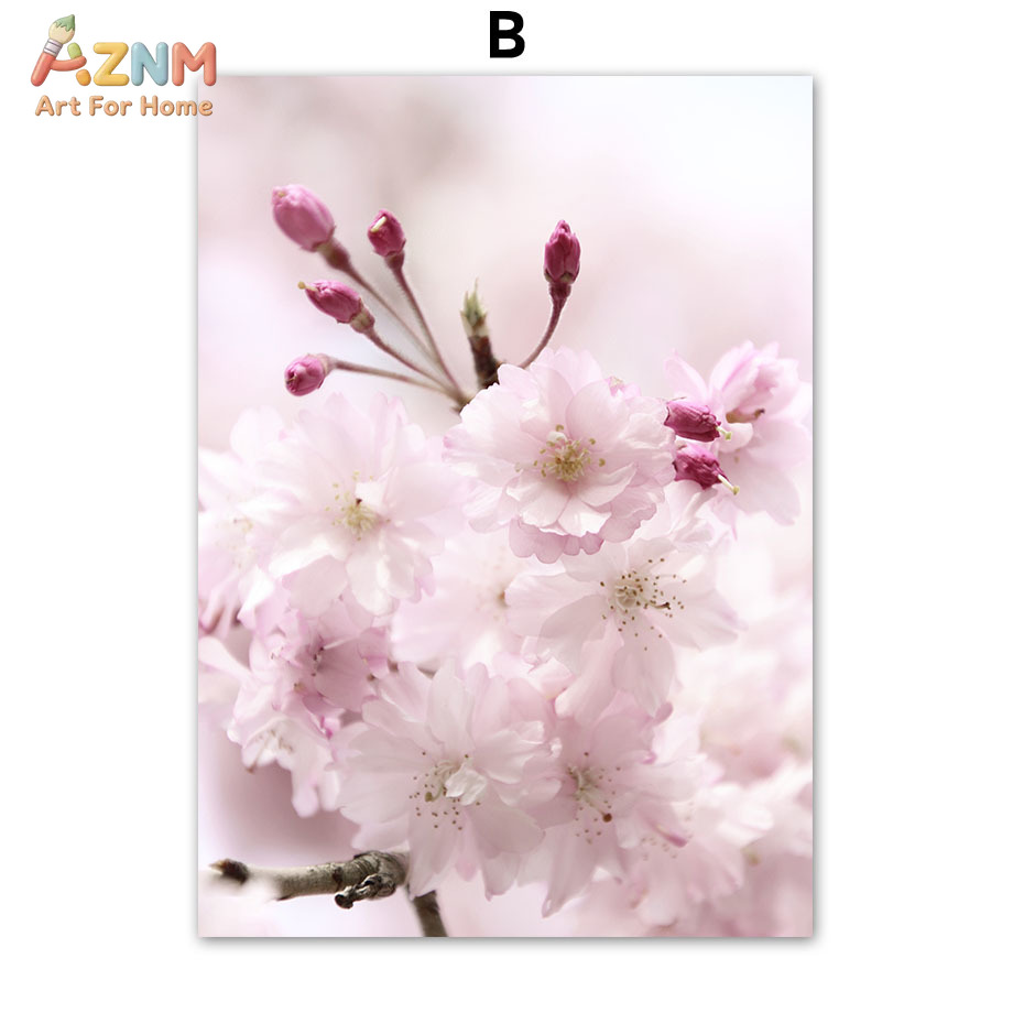 AZNM Pink Cherry Blossom Canva - đánh giá và giá Photography Quotes Inspirational
