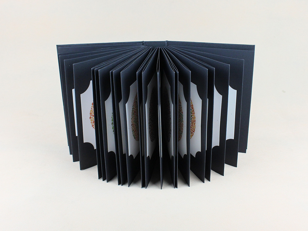 Ishihara Book 38 Plates Optome - đánh giá và giá Color Checker Card